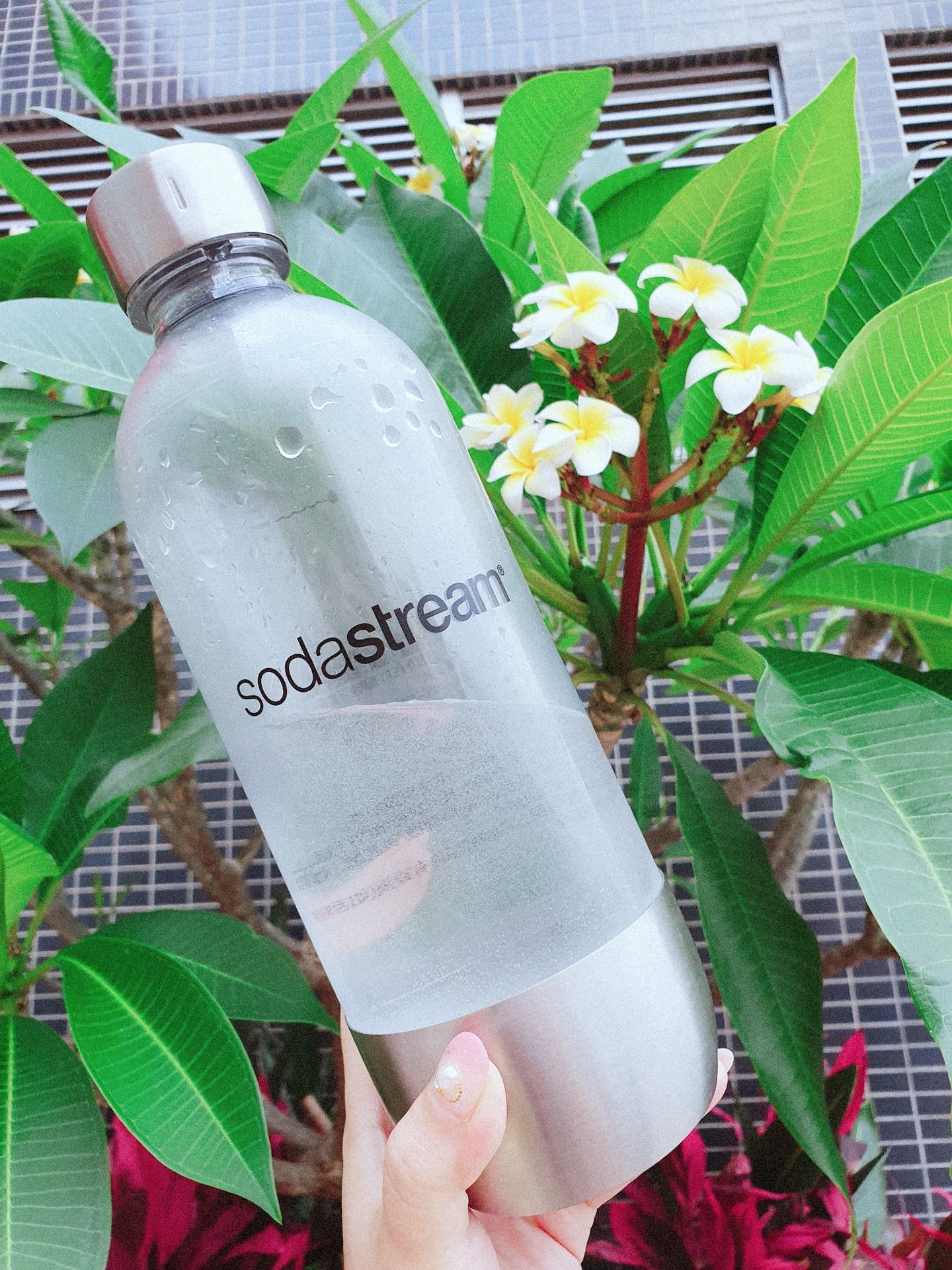 消暑團購中【Sodastream氣泡水機】一次學會10款繽紛氣泡飲 - yuki.tw