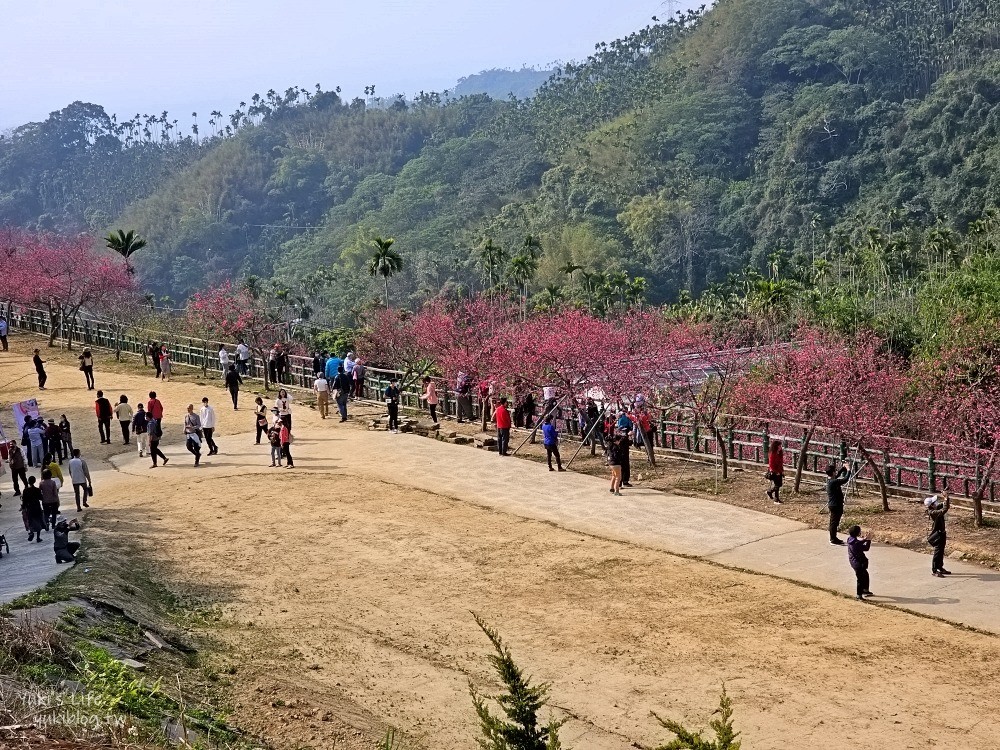 嘉義景點》半天岩紫雲寺，全台最長滾輪溜滑梯還能賞櫻花，阿里山一日遊好去處 - yuki.tw