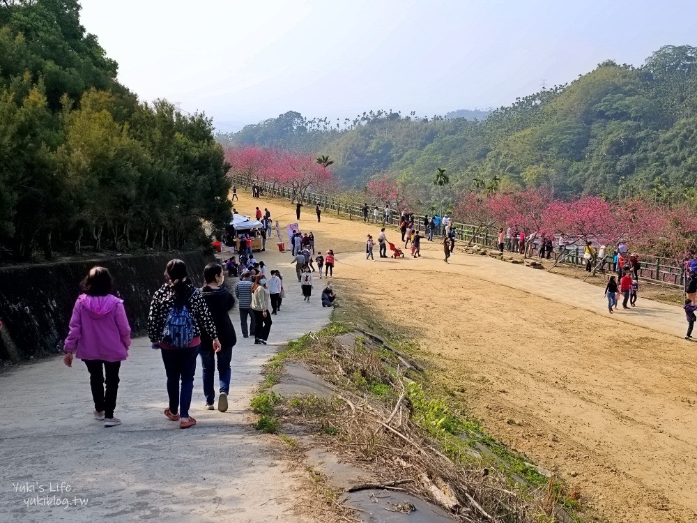 嘉義景點》半天岩紫雲寺，全台最長滾輪溜滑梯還能賞櫻花，阿里山一日遊好去處 - yuki.tw