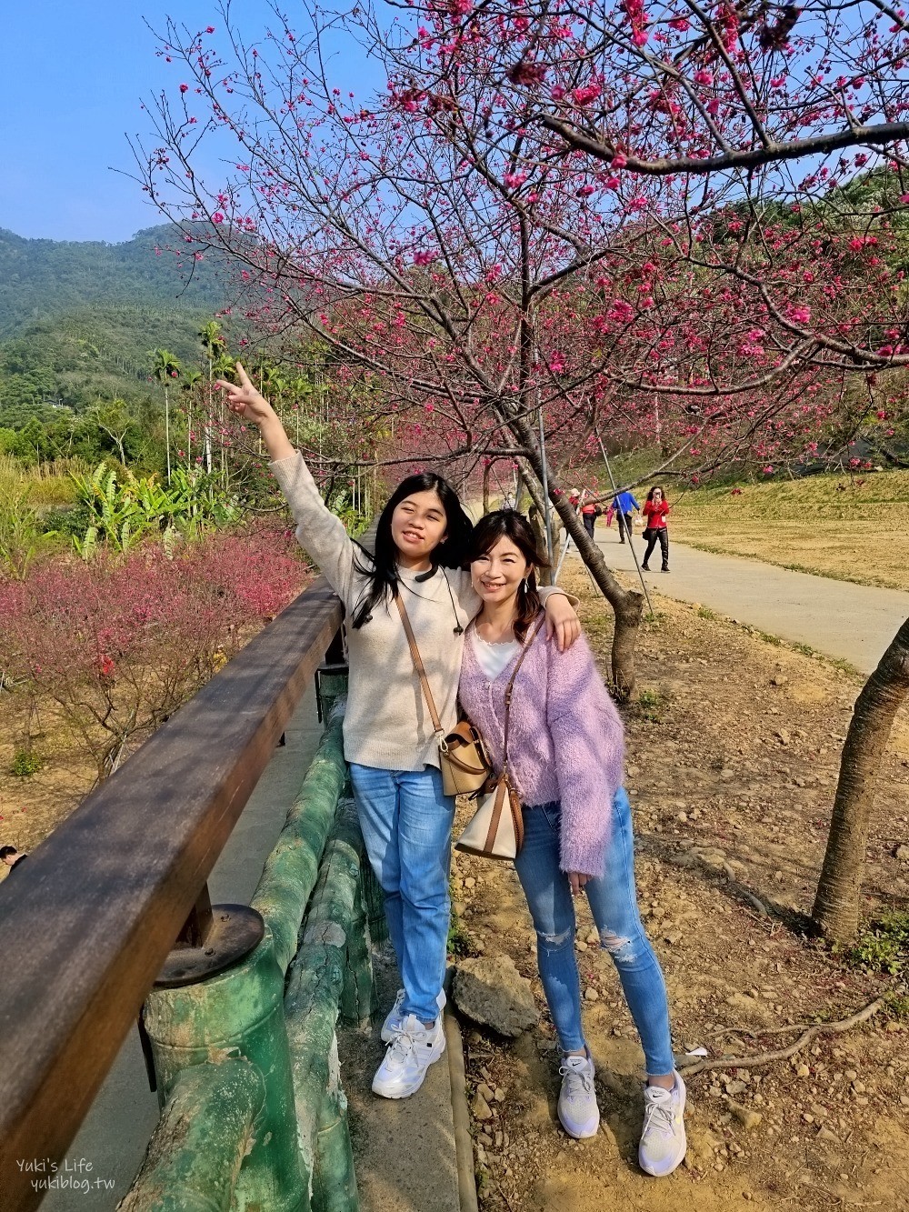 嘉義景點》半天岩紫雲寺，全台最長滾輪溜滑梯還能賞櫻花，阿里山一日遊好去處 - yuki.tw