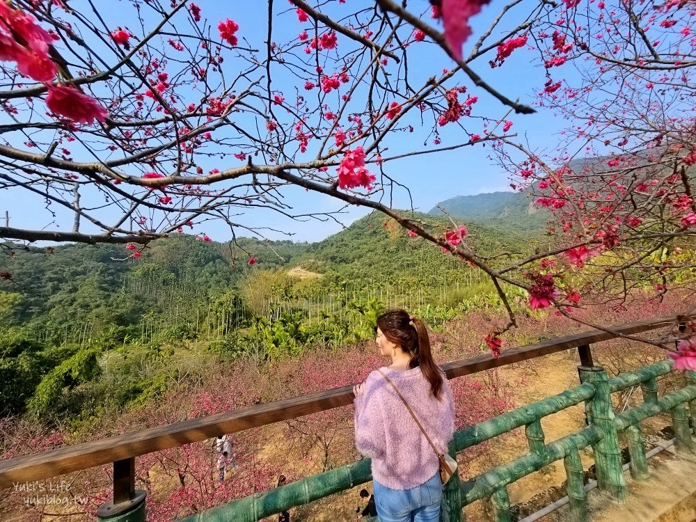 嘉義景點》半天岩紫雲寺，全台最長滾輪溜滑梯還能賞櫻花，阿里山一日遊好去處 - yuki.tw