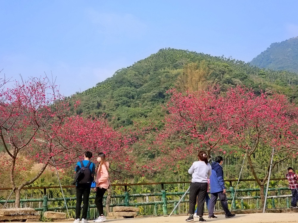 嘉義景點》半天岩紫雲寺，全台最長滾輪溜滑梯還能賞櫻花，阿里山一日遊好去處 - yuki.tw