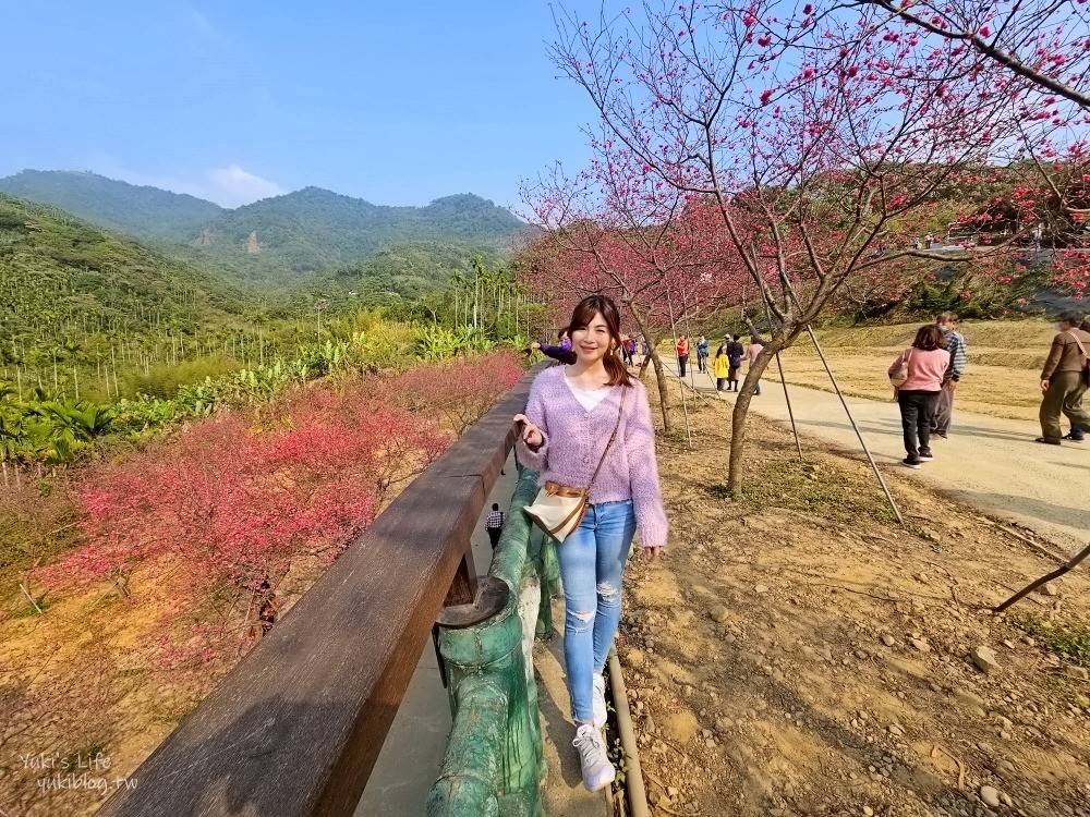 嘉義景點》半天岩紫雲寺，全台最長滾輪溜滑梯還能賞櫻花，阿里山一日遊好去處 - yuki.tw