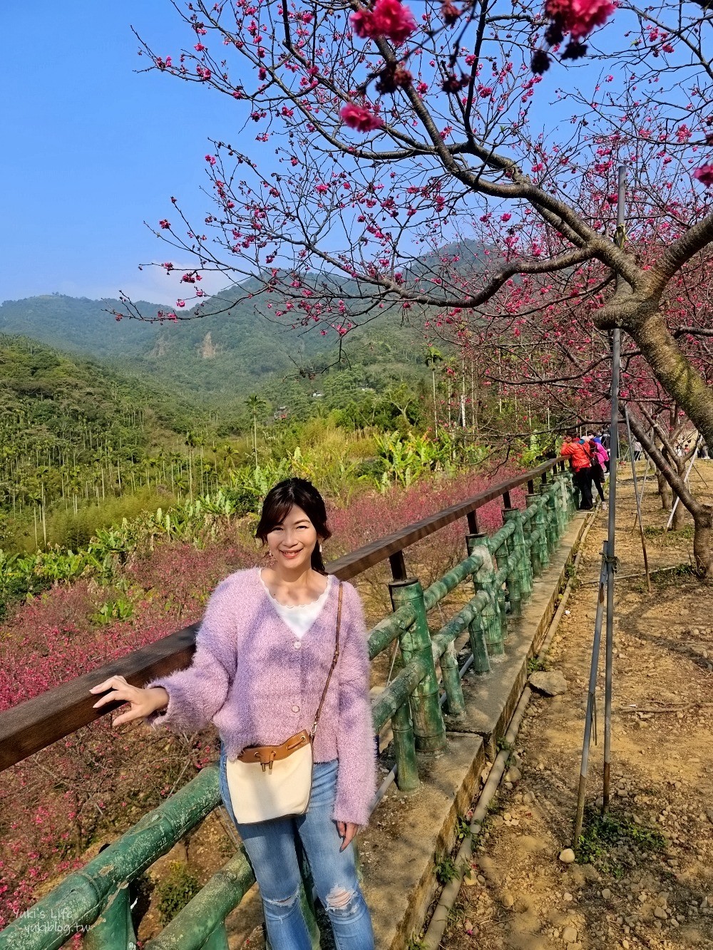 嘉義景點》半天岩紫雲寺，全台最長滾輪溜滑梯還能賞櫻花，阿里山一日遊好去處 - yuki.tw