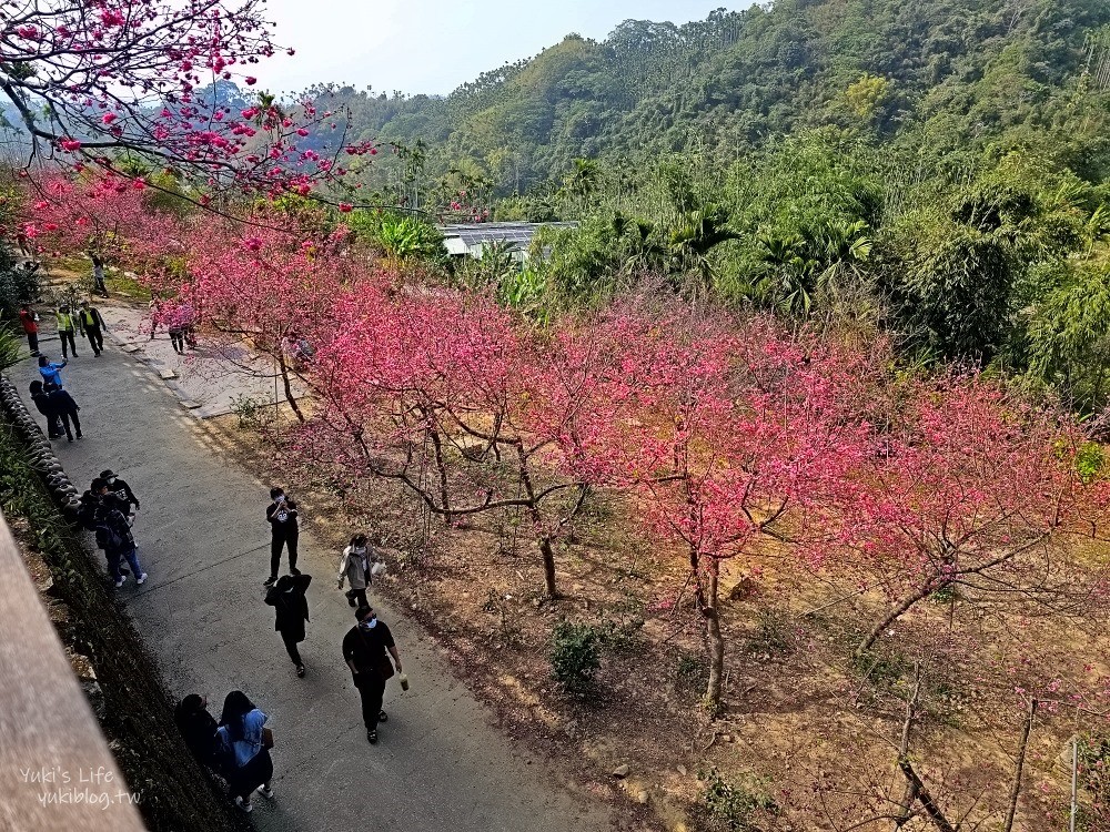 嘉義景點》半天岩紫雲寺，全台最長滾輪溜滑梯還能賞櫻花，阿里山一日遊好去處 - yuki.tw