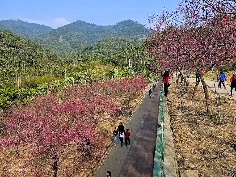 嘉義景點》半天岩紫雲寺，全台最長滾輪溜滑梯還能賞櫻花，阿里山一日遊好去處 - yuki.tw