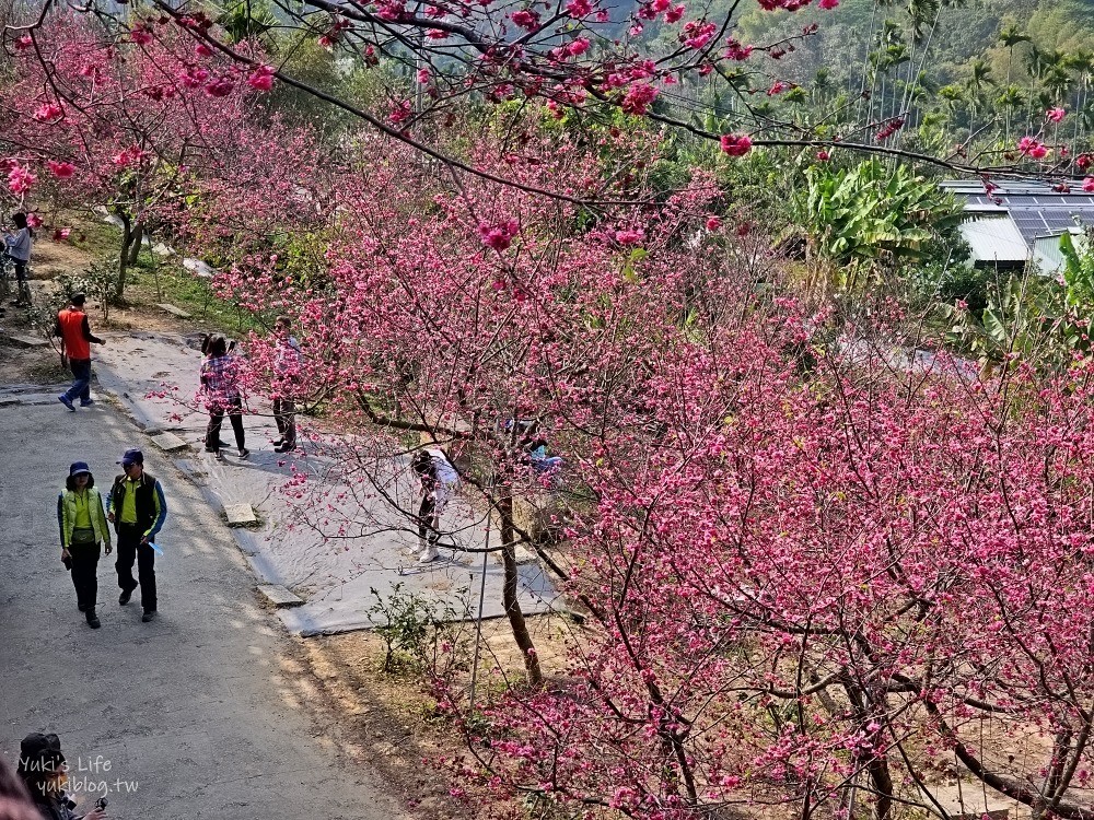 嘉義景點》半天岩紫雲寺，全台最長滾輪溜滑梯還能賞櫻花，阿里山一日遊好去處 - yuki.tw