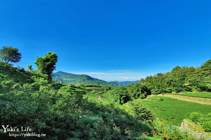 嘉義親子住宿推薦【掌聲響起民宿】阿里山看日出×自然冷氣夏天避暑夢幻仙境 - yuki.tw