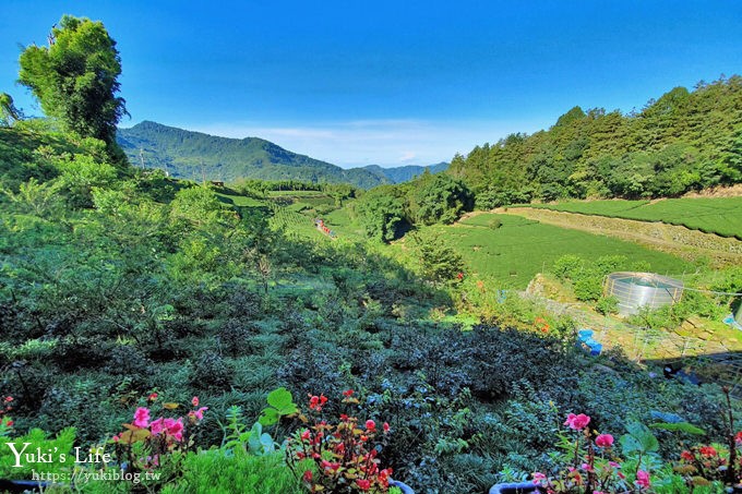 嘉義親子住宿推薦【掌聲響起民宿】阿里山看日出×自然冷氣夏天避暑夢幻仙境 - yuki.tw