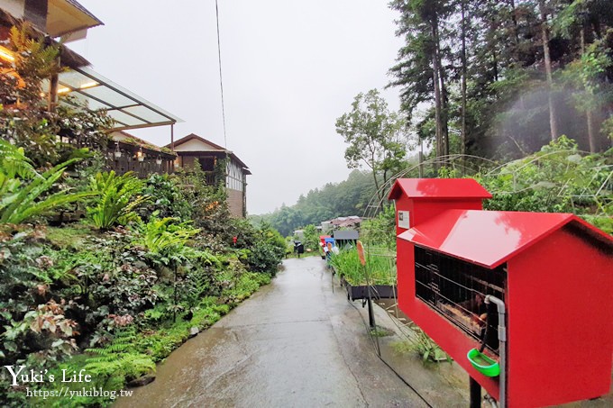 嘉義親子住宿推薦【掌聲響起民宿】阿里山看日出×自然冷氣夏天避暑夢幻仙境 - yuki.tw