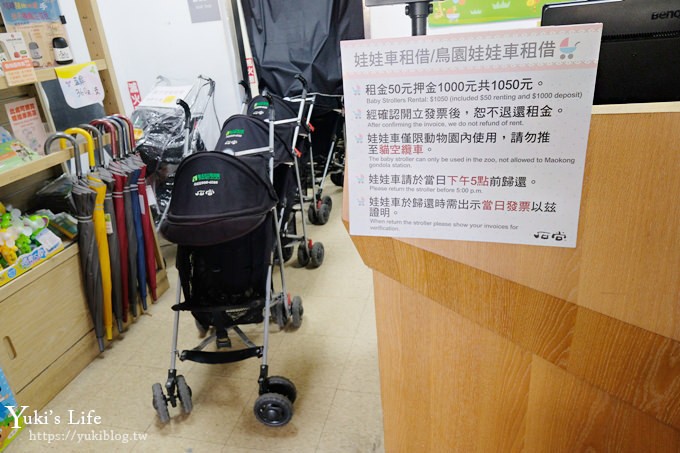 台北親子景點【木柵動物園】熱帶雨林室內館水豚君亮相！動物園室內遊玩攻略 - yuki.tw