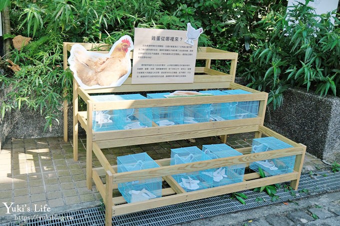 台北親子景點【木柵動物園】熱帶雨林室內館水豚君亮相！動物園室內遊玩攻略 - yuki.tw