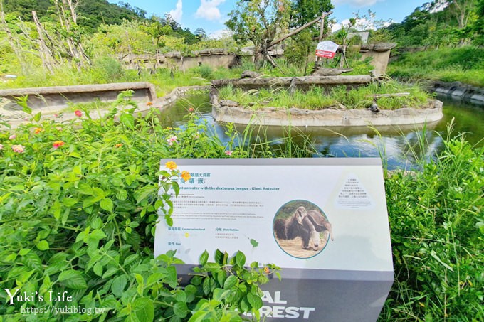 台北親子景點【木柵動物園】熱帶雨林室內館水豚君亮相！動物園室內遊玩攻略 - yuki.tw