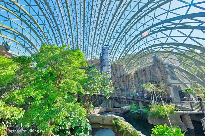 台北親子景點【木柵動物園】熱帶雨林室內館水豚君亮相！動物園室內遊玩攻略 - yuki.tw