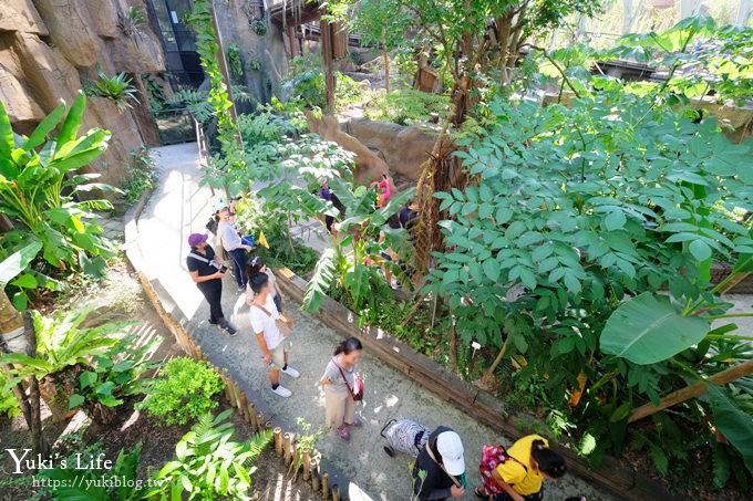 台北親子景點【木柵動物園】熱帶雨林室內館水豚君亮相！動物園室內遊玩攻略 - yuki.tw