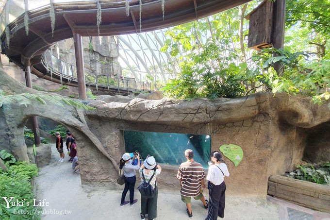 台北親子景點【木柵動物園】熱帶雨林室內館水豚君亮相！動物園室內遊玩攻略 - yuki.tw