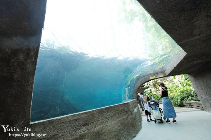 台北親子景點【木柵動物園】熱帶雨林室內館水豚君亮相！動物園室內遊玩攻略 - yuki.tw