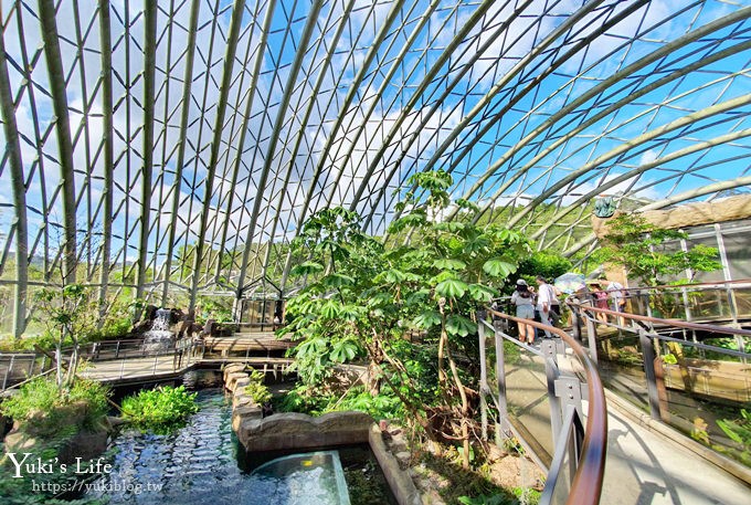 台北親子景點【木柵動物園】熱帶雨林室內館水豚君亮相！動物園室內遊玩攻略 - yuki.tw