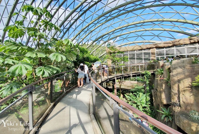 台北親子景點【木柵動物園】熱帶雨林室內館水豚君亮相！動物園室內遊玩攻略 - yuki.tw