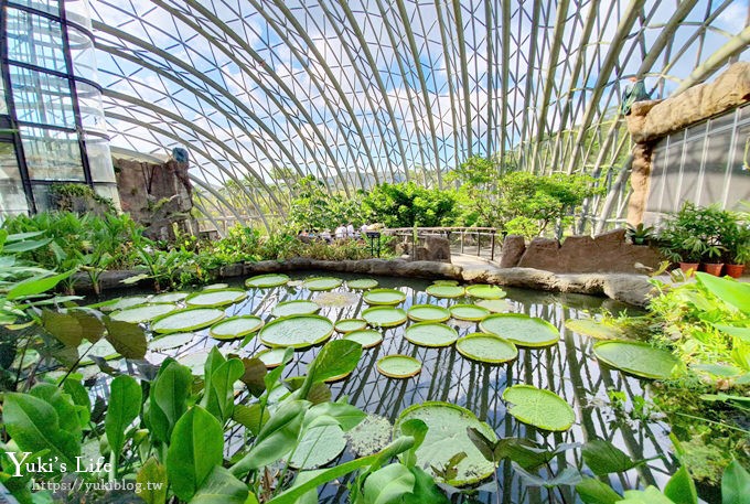 台北親子景點【木柵動物園】熱帶雨林室內館水豚君亮相！動物園室內遊玩攻略 - yuki.tw