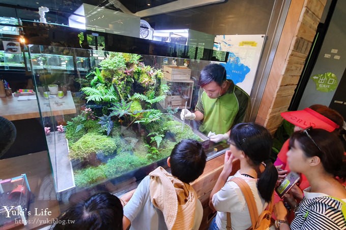 台北親子景點【木柵動物園】熱帶雨林室內館水豚君亮相！動物園室內遊玩攻略 - yuki.tw