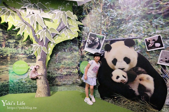 台北親子景點【木柵動物園】熱帶雨林室內館水豚君亮相！動物園室內遊玩攻略 - yuki.tw