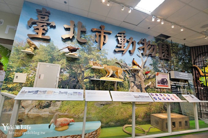 台北親子景點【木柵動物園】熱帶雨林室內館水豚君亮相！動物園室內遊玩攻略 - yuki.tw