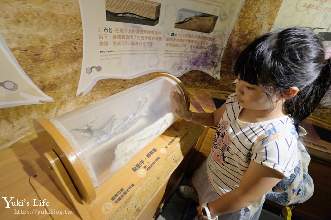 台北親子景點【木柵動物園】熱帶雨林室內館水豚君亮相！動物園室內遊玩攻略 - yuki.tw