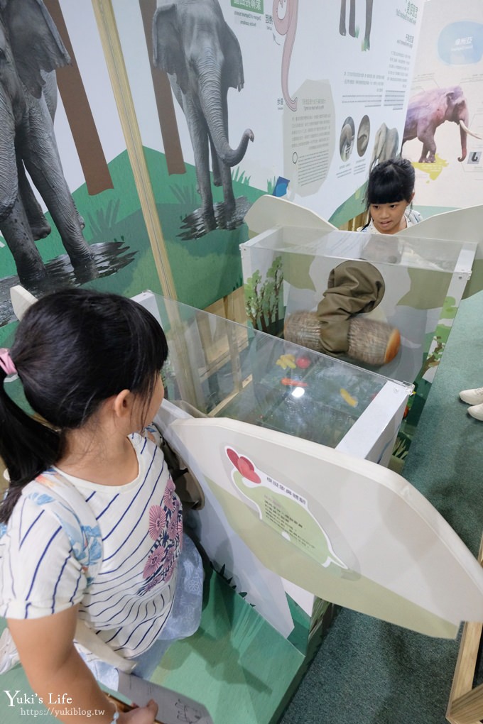 台北親子景點【木柵動物園】熱帶雨林室內館水豚君亮相！動物園室內遊玩攻略 - yuki.tw