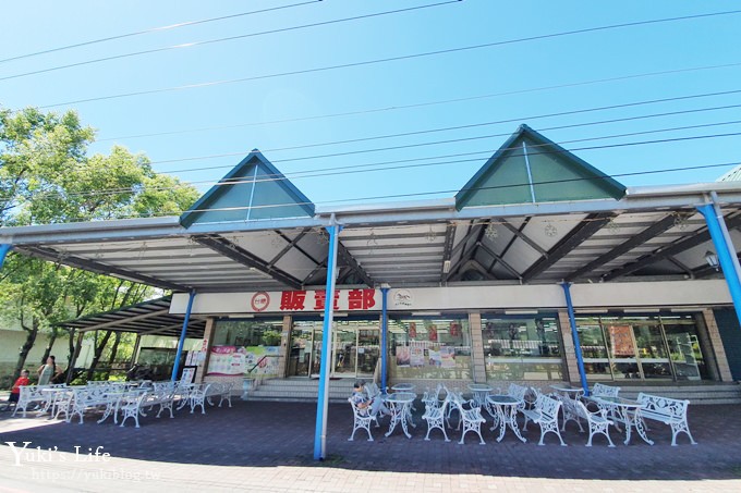 台東親子住宿【日暉國際渡假村】海灣造景泳池，南洋風Villa房，池上生態導覽必玩亮點！ - yuki.tw