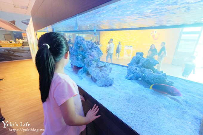 宜蘭親子景點【金車生技水產養殖研發中心】根本是水族館超好逛、鮮蝦現場吃、兒童遊戲區 - yuki.tw