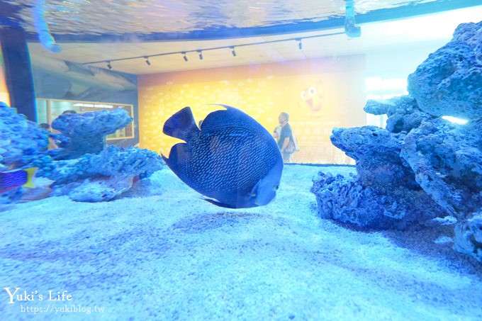 宜蘭親子景點【金車生技水產養殖研發中心】根本是水族館超好逛、鮮蝦現場吃、兒童遊戲區 - yuki.tw