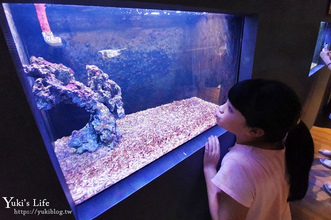 宜蘭親子景點【金車生技水產養殖研發中心】根本是水族館超好逛、鮮蝦現場吃、兒童遊戲區 - yuki.tw