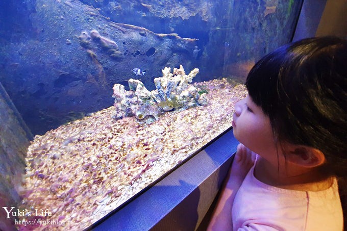 宜蘭親子景點【金車生技水產養殖研發中心】根本是水族館超好逛、鮮蝦現場吃、兒童遊戲區 - yuki.tw