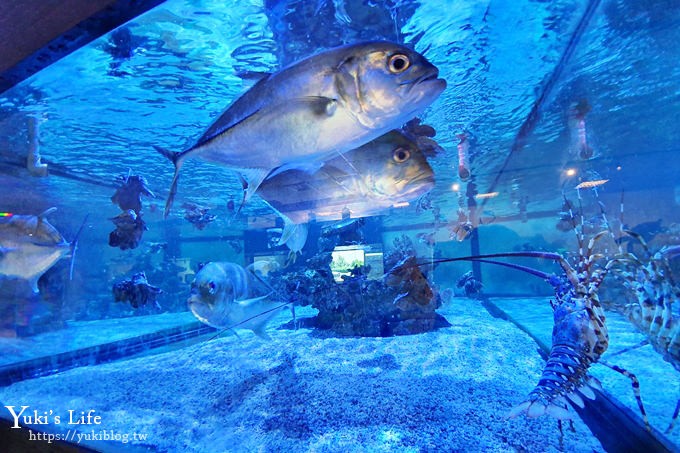 宜蘭親子景點【金車生技水產養殖研發中心】根本是水族館超好逛、鮮蝦現場吃、兒童遊戲區 - yuki.tw