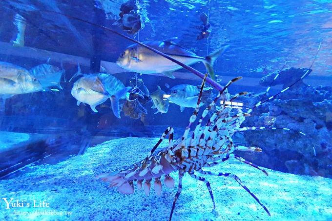 宜蘭親子景點【金車生技水產養殖研發中心】根本是水族館超好逛、鮮蝦現場吃、兒童遊戲區 - yuki.tw