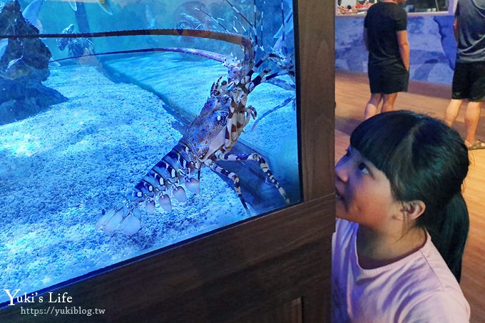 宜蘭親子景點【金車生技水產養殖研發中心】根本是水族館超好逛、鮮蝦現場吃、兒童遊戲區 - yuki.tw