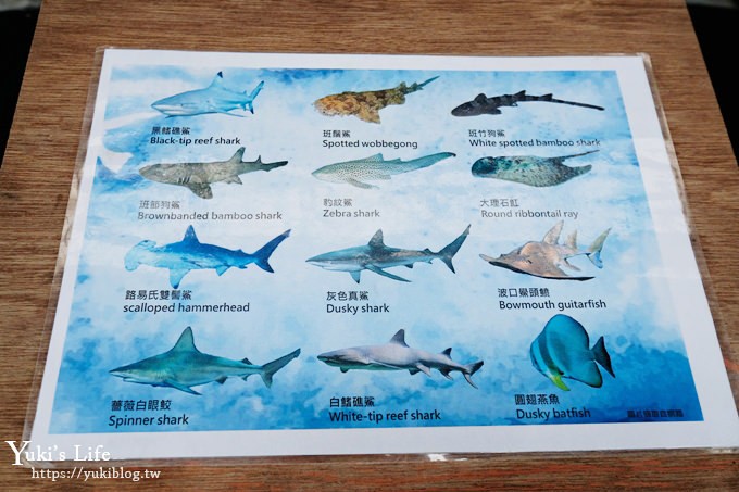 宜蘭親子景點【金車生技水產養殖研發中心】根本是水族館超好逛、鮮蝦現場吃、兒童遊戲區 - yuki.tw