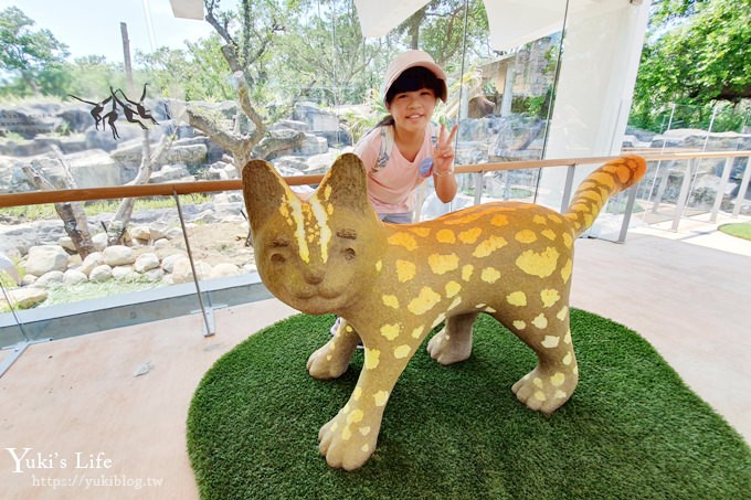 親子景點【新竹市立動物園】河馬樂樂新家搶先看×預計年底開放