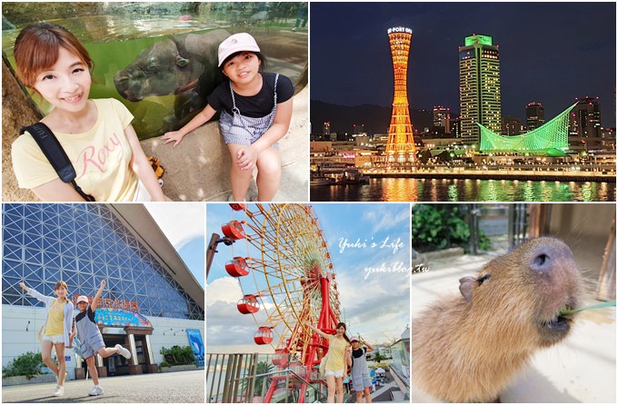 神戶景點》神戶動物王國，超夯親子推薦，室內動物園有水豚君在等你 - yuki.tw