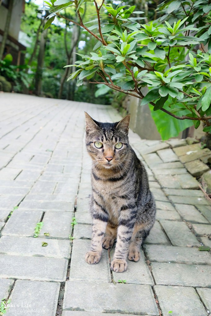 苗栗親子景點【卓也小屋】縮小版三義名勝、牛角村花園都在這兒×客家藍染體驗 - yuki.tw