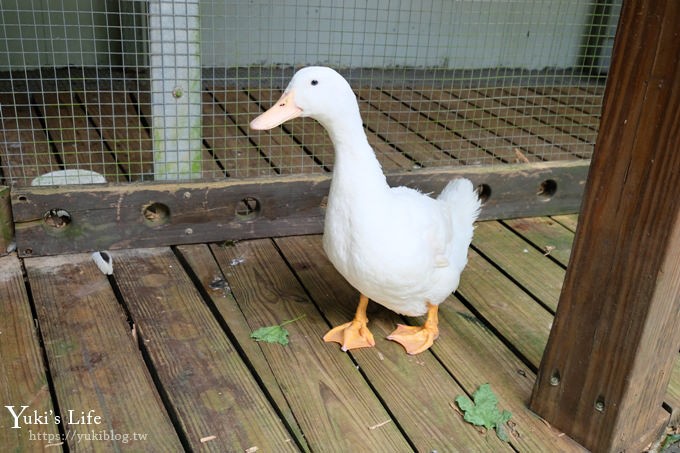 苗栗親子景點【卓也小屋】縮小版三義名勝、牛角村花園都在這兒×客家藍染體驗 - yuki.tw