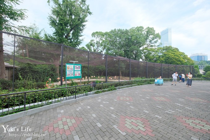 大阪天王寺動物園，北極熊在等你~大阪周遊卡免費觀光親子景點 - yuki.tw