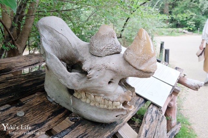 大阪天王寺動物園，北極熊在等你~大阪周遊卡免費觀光親子景點 - yuki.tw