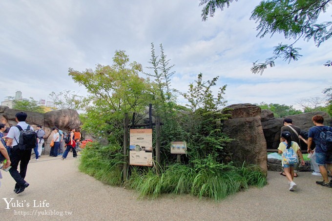 大阪天王寺動物園，北極熊在等你~大阪周遊卡免費觀光親子景點 - yuki.tw