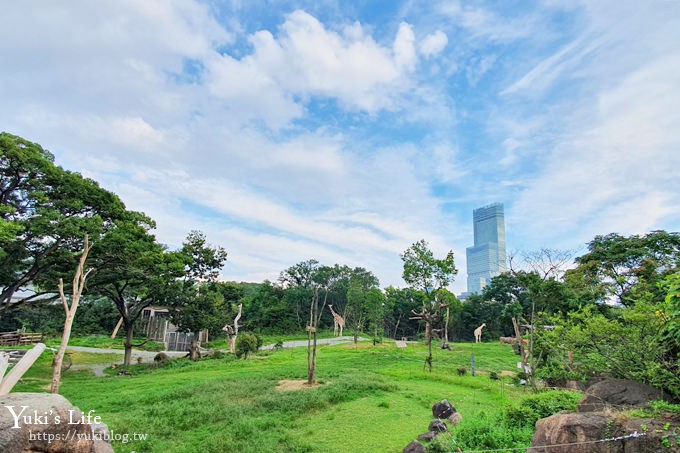 大阪天王寺動物園，北極熊在等你~大阪周遊卡免費觀光親子景點 - yuki.tw