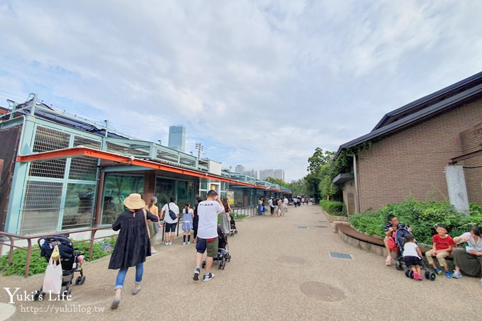 大阪天王寺動物園，北極熊在等你~大阪周遊卡免費觀光親子景點 - yuki.tw