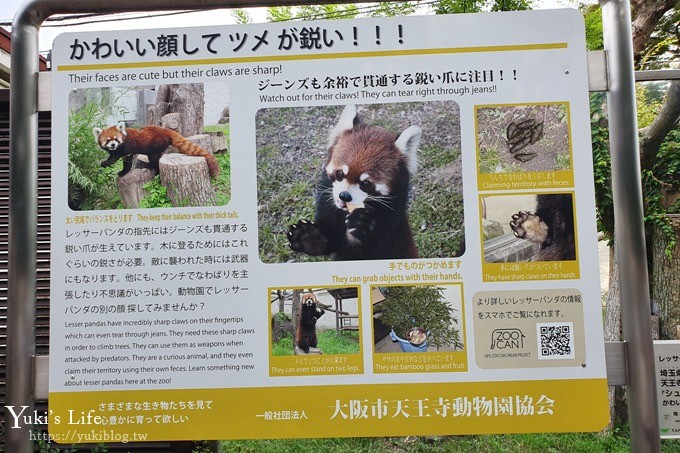 大阪天王寺動物園，北極熊在等你~大阪周遊卡免費觀光親子景點 - yuki.tw