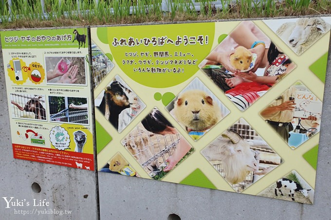 大阪天王寺動物園，北極熊在等你~大阪周遊卡免費觀光親子景點 - yuki.tw