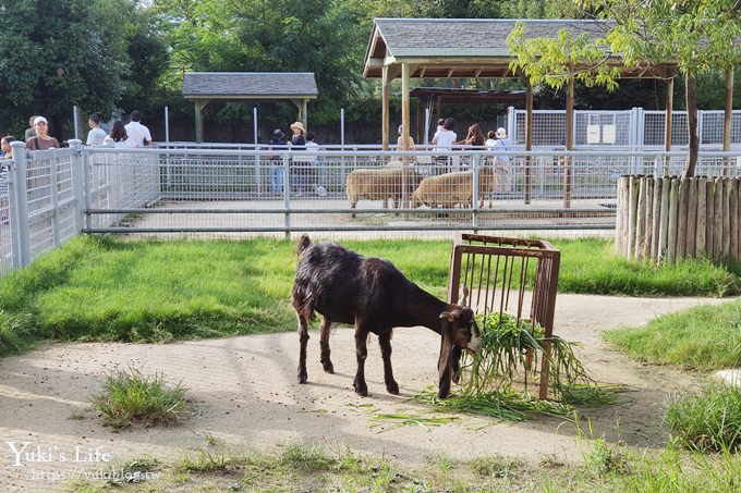 大阪天王寺動物園，北極熊在等你~大阪周遊卡免費觀光親子景點 - yuki.tw